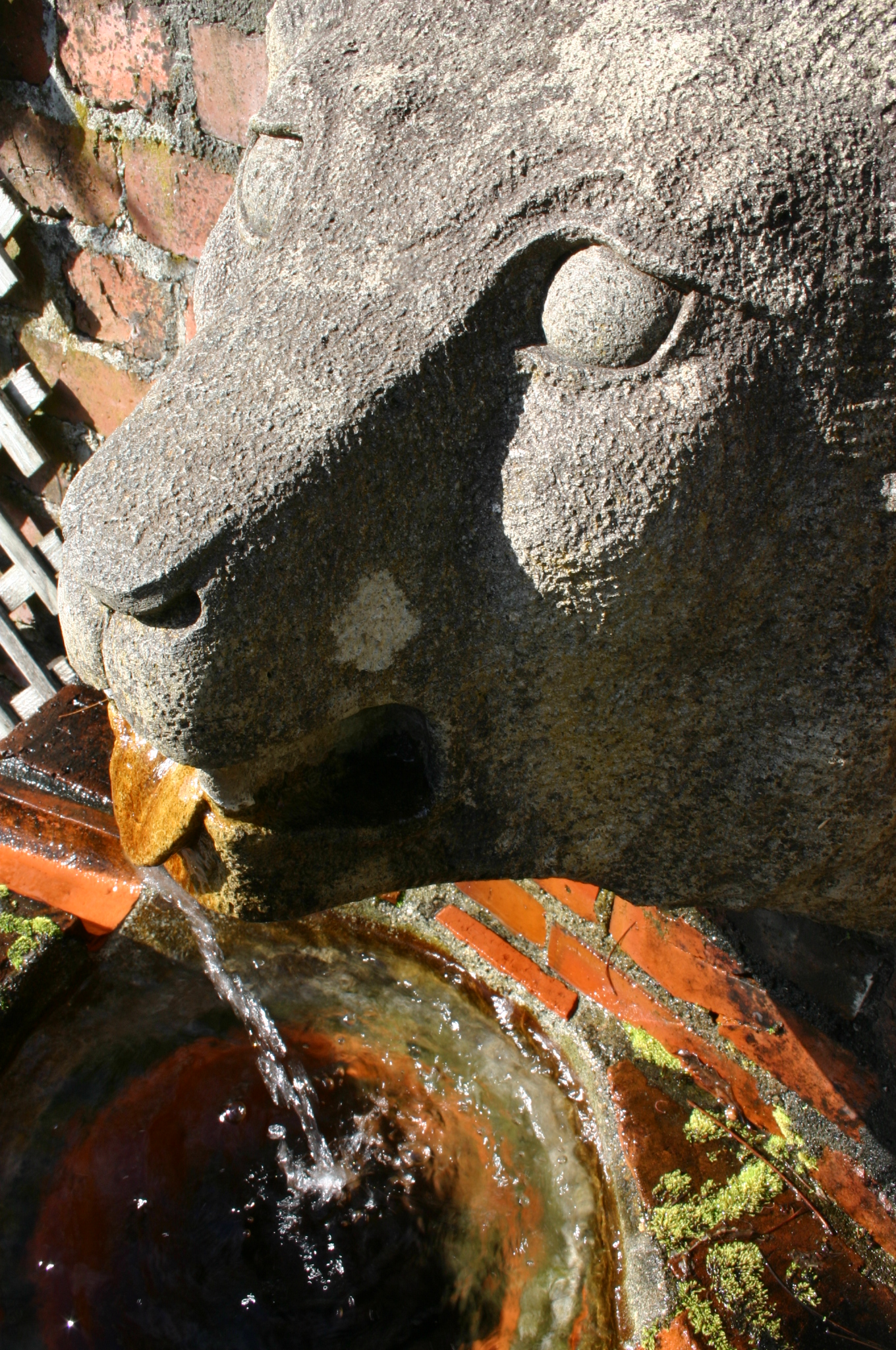 Wellington Botanic Garden