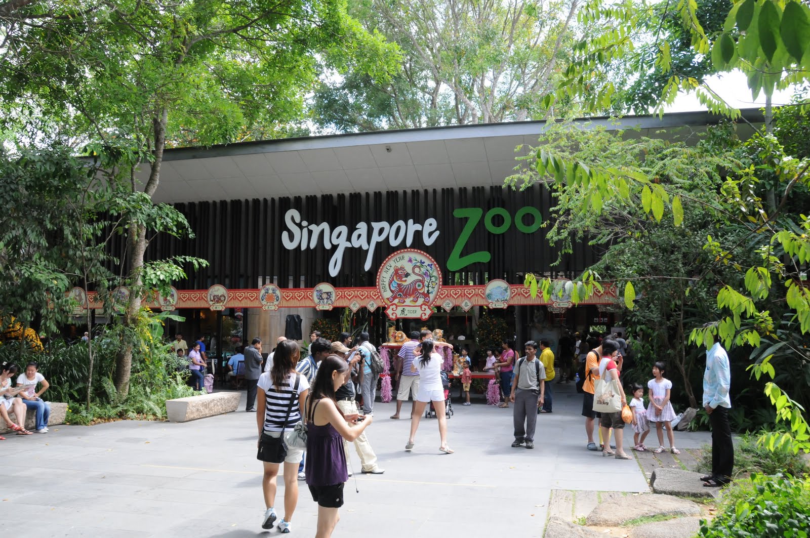 Singapore Zoo & Night Safari