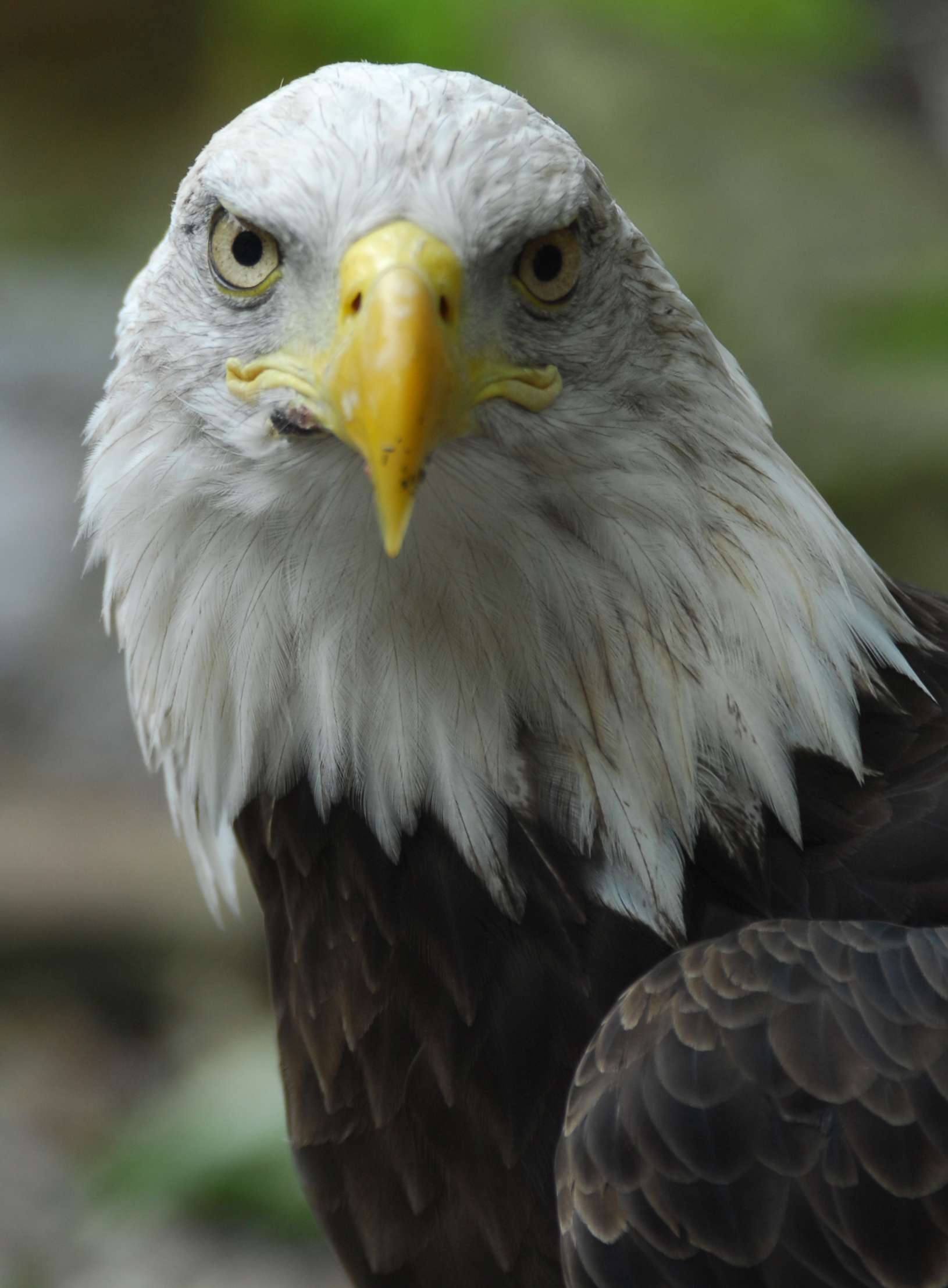 Smithsonian National Zoo