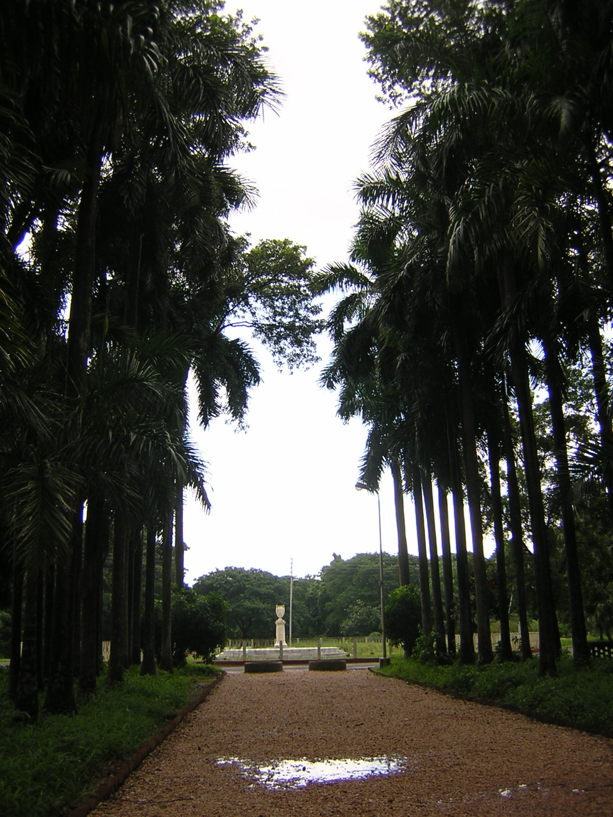 Botanical Garden