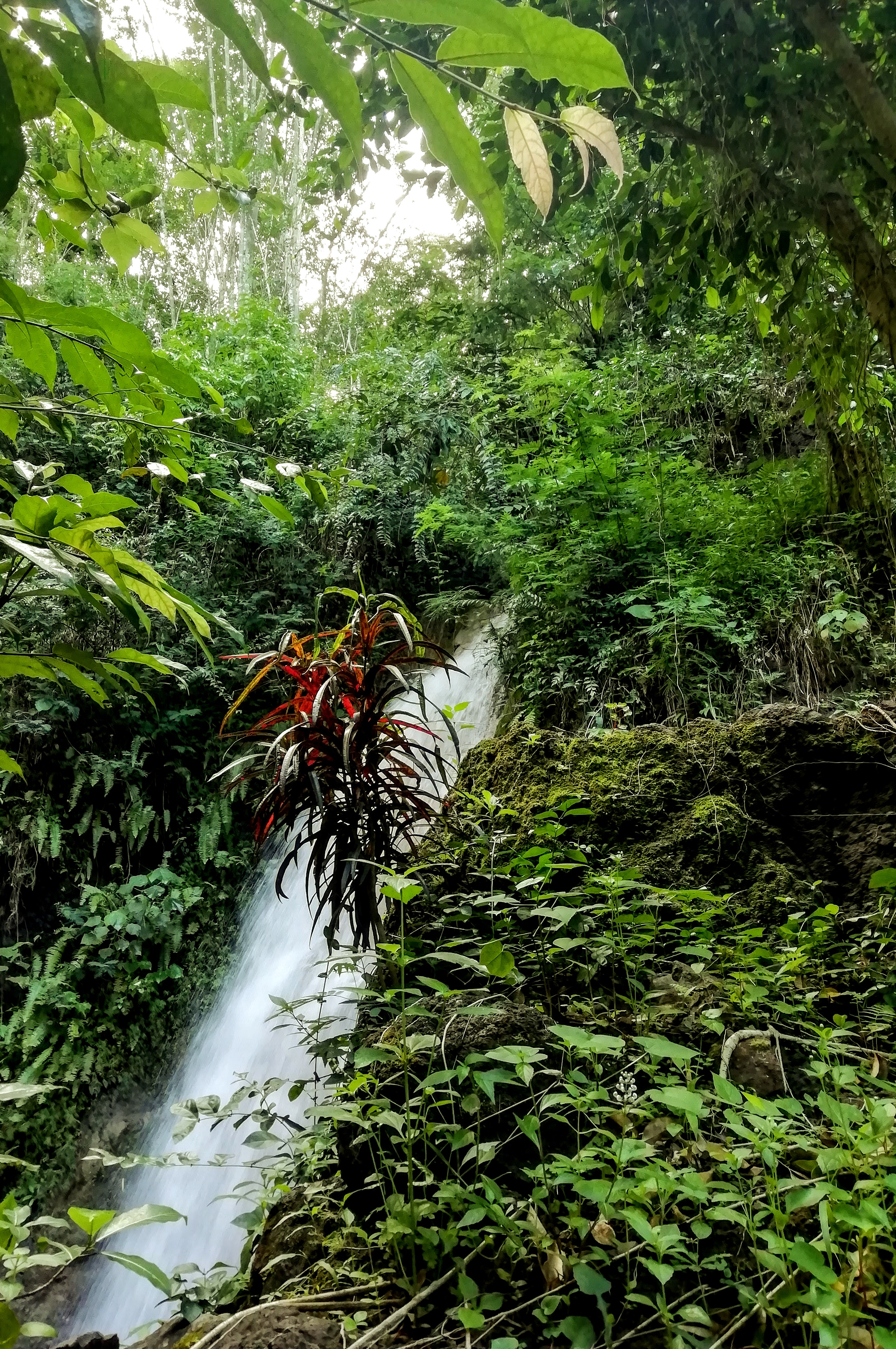 Kedung Pedut Waterfall