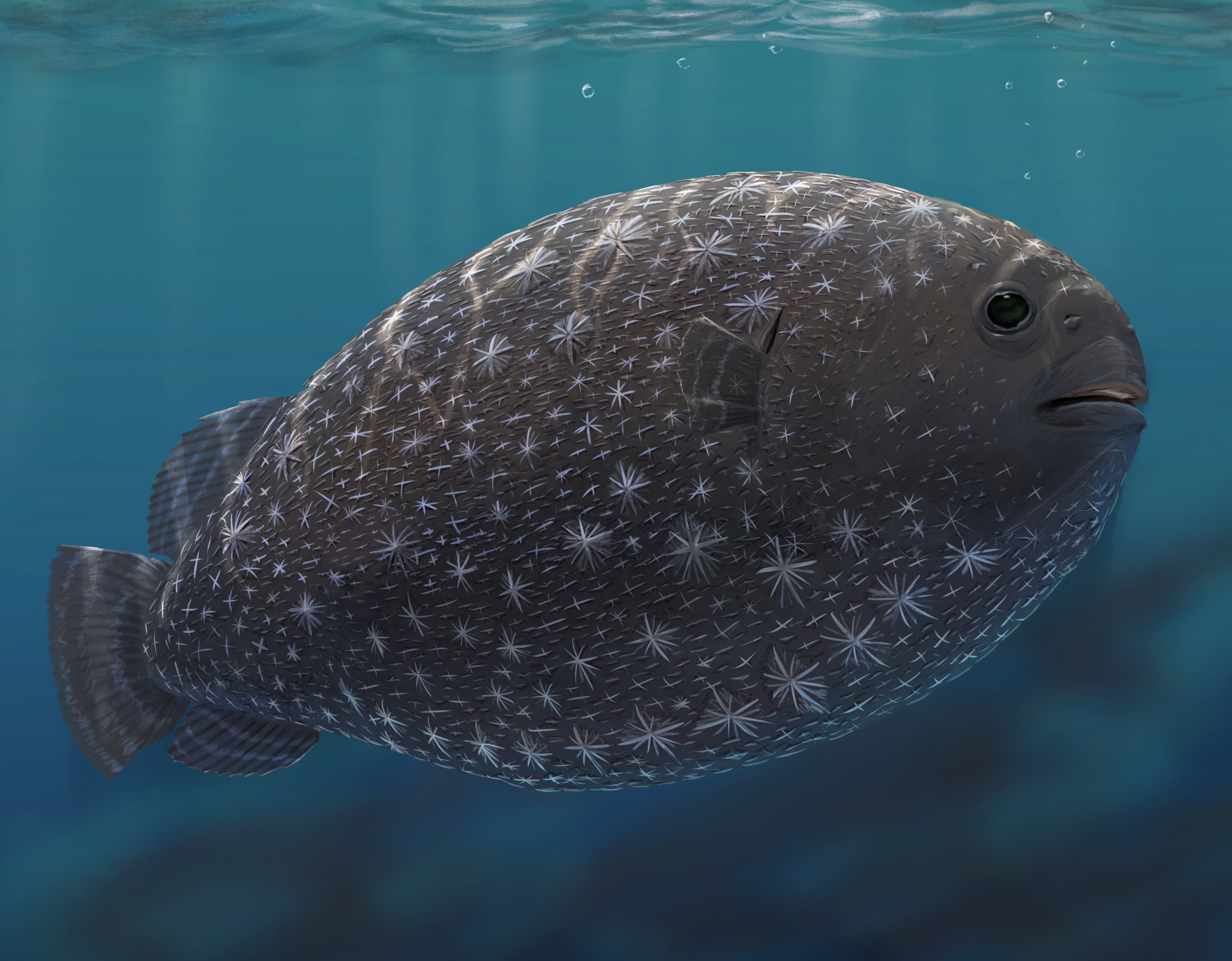 Museo di Storia Naturale