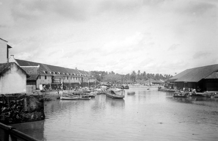 Muara Angke Wildlife Reserve