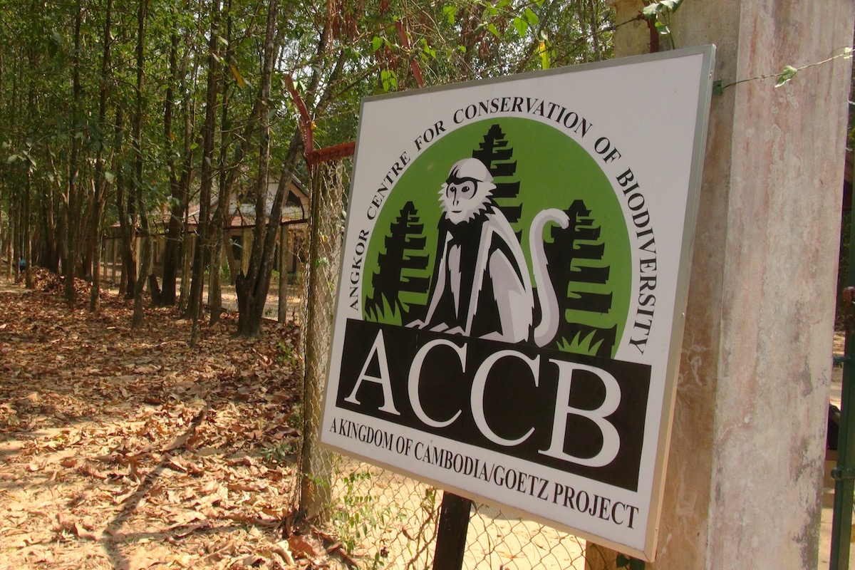 Angkor Centre for Conservation of Biodiversity