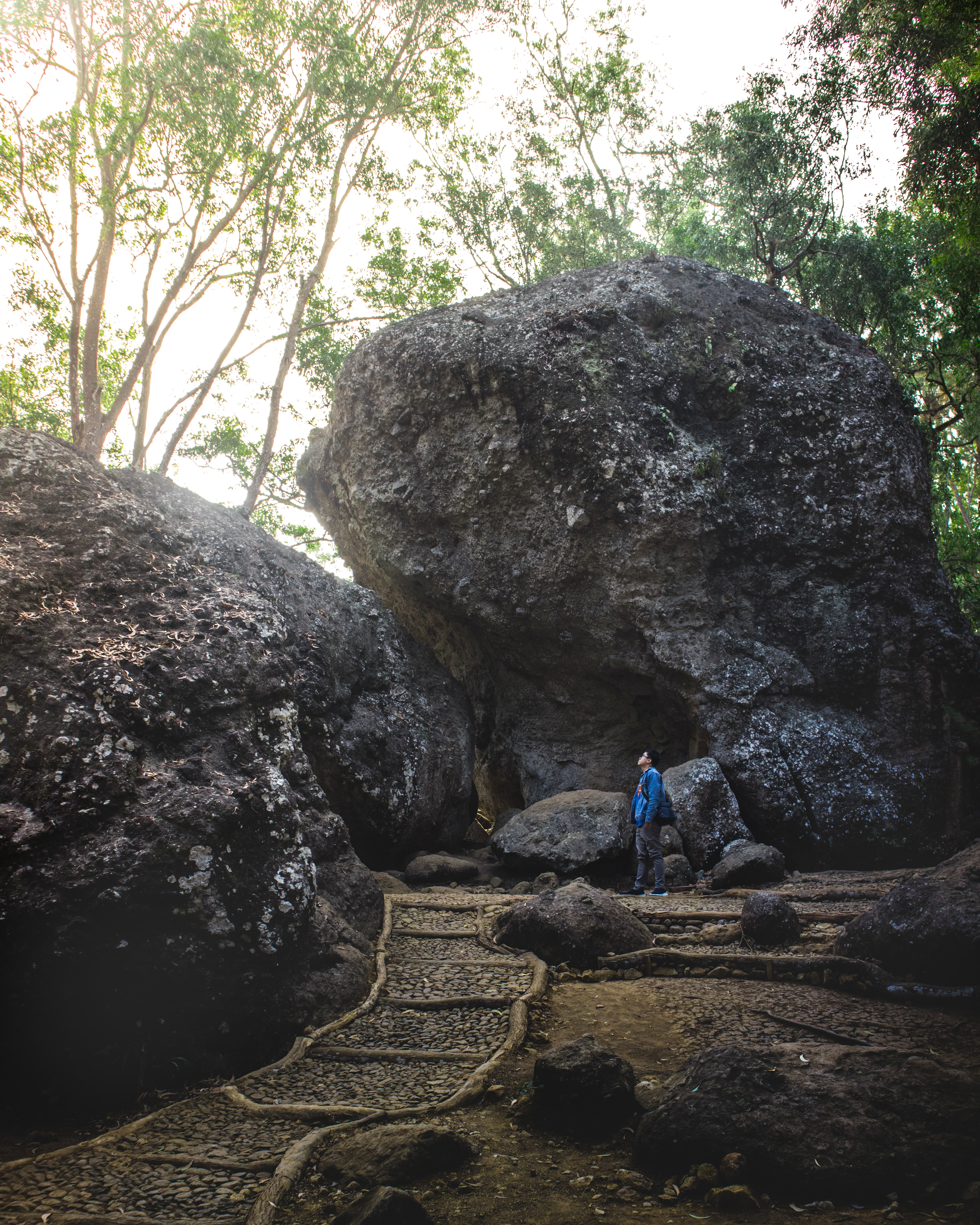 Pinus Pengger Viewpoint